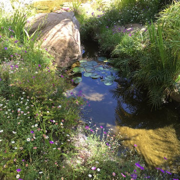 Garden Ponds