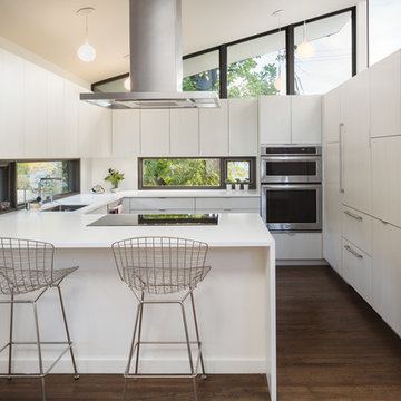Mid-Century Modern Remodel