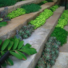 garden / yard details