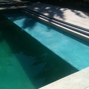 Long Grove, IL Swimming Pool Renovation