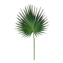 faux plants