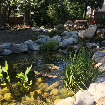 11x16 Ecosytem Wildlife Pond