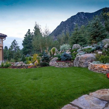 Backyard lawn and garden