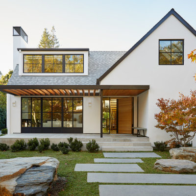 Home design - modern home design idea in San Francisco