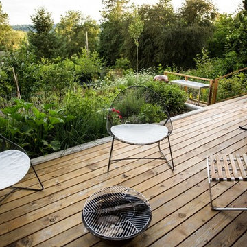 Full Plane Passive House