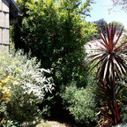 Backyard Oasis, Arlington VA