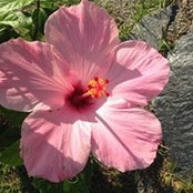 Mandy Jacob Brown's photo