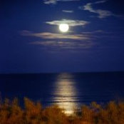 Kevin Zoeckler's photo