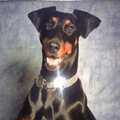 Gerard Gallagher's photo