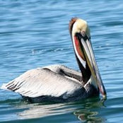 Gail Norman's photo