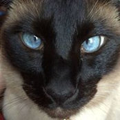 Jamie Greer Weihl's photo