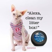 Airie McCready's photo