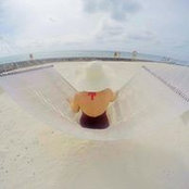 Va Nessa's photo