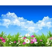 Lisa Aune's photo