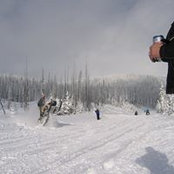 Tyler Ford's photo