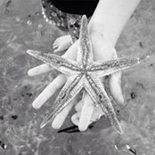 Sharon Ward's photo