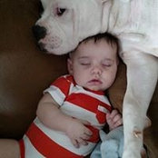 Sherry Hughes's photo