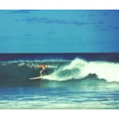 Paul Messa's photo