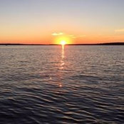 Matt Ammerman's photo
