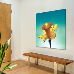 Daffodil 2 Happy - Products