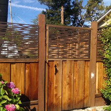 Landscape Ideas