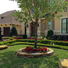 Landscaping Ideas
