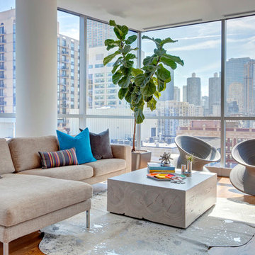 Contemporary Living Room