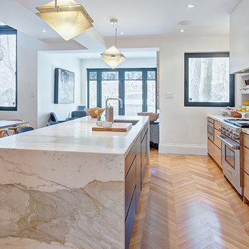 Toronto Annex Reno