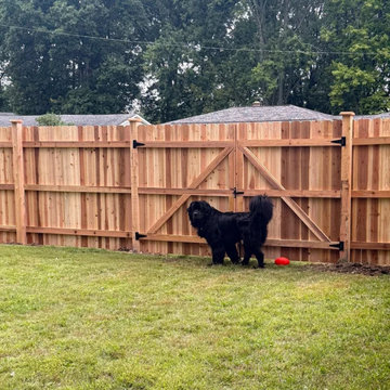 Fences & Gates