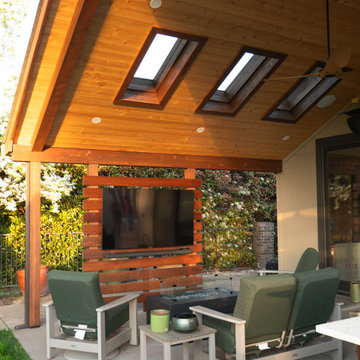 Skylights with Privacy Screen