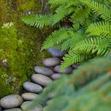 Rock feature/garden
