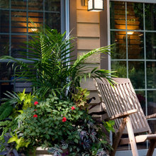 Planted Containers