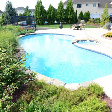 Mountain Lake style salt water in ground pool with Raised Spa