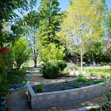 Raised Edible Beds