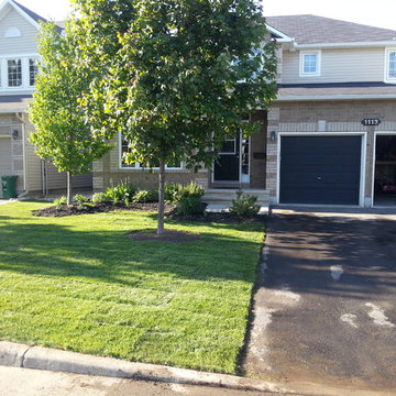 Re-Sodding After Pictures 2013