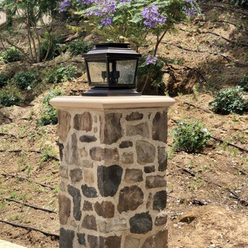 Mediterranean Transitional