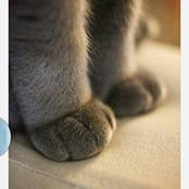 Cassandra Weyer's photo