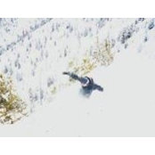 Chris Millman's photo