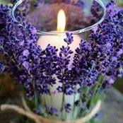 Amira Baroudi's photo