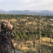 Brannen Wells's photo