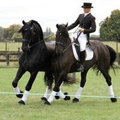 Sarah Rolston's photo