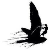 Gery Ciftcioglu's photo