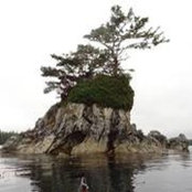 Nancy Rae McCulloch's photo