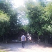 Sean Lee's photo