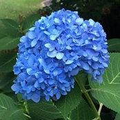 Elizabeth Renner's photo