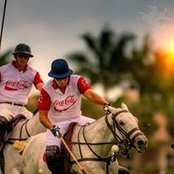 Chip Campbell's photo