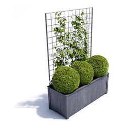 Rectangular Metal Planter with Trellis - Outdoor Plant Pots & Planters