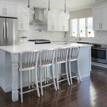 Transitional, Shaker Door Style, Bright White and Deep Ice Gray