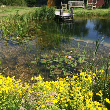 Natural Swimming Pond