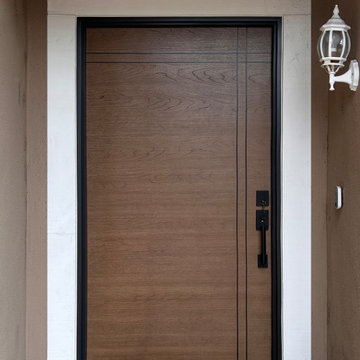 Modern Doors
